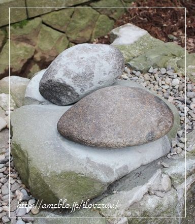 るぅのおいしいうちごはん