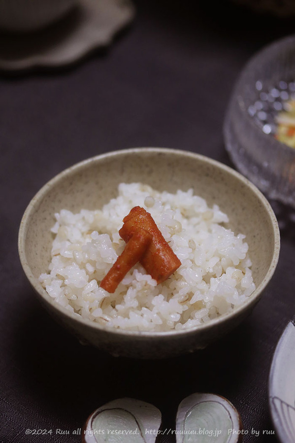 0B8A0448 のコピー