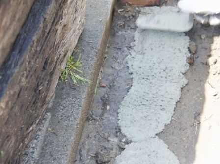 るぅのおいしいうちごはん