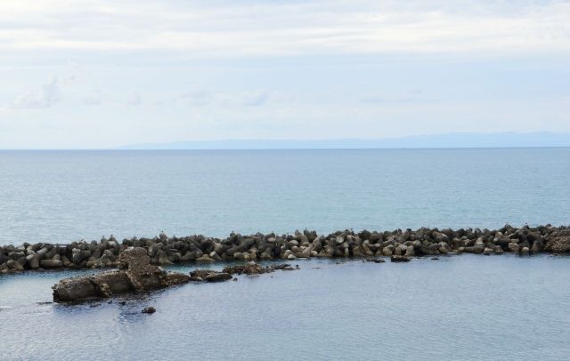 るぅのおいしいうちごはん