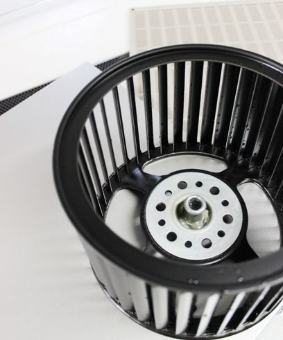 るぅのおいしいうちごはん