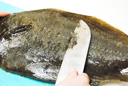 るぅのおいしいうちごはん