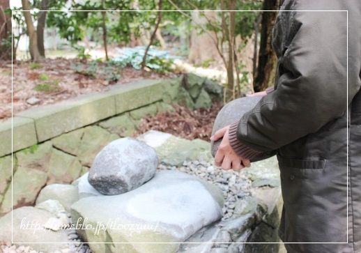 るぅのおいしいうちごはん