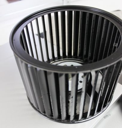 るぅのおいしいうちごはん