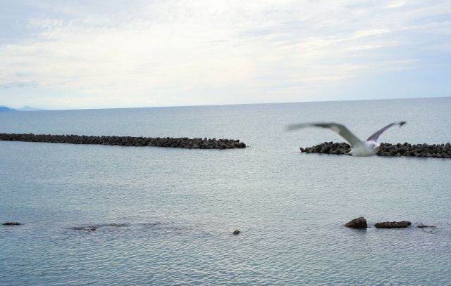 るぅのおいしいうちごはん