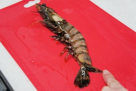 るぅのおいしいうちごはん