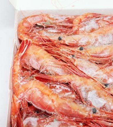 るぅのおいしいうちごはん