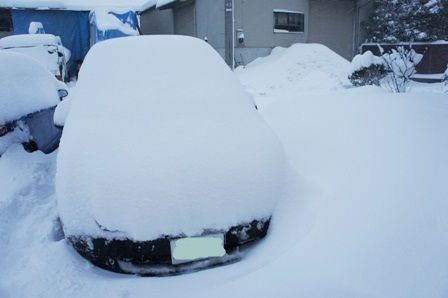 るぅのおいしいうちごはん