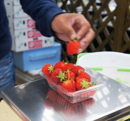 るぅのおいしいうちごはん