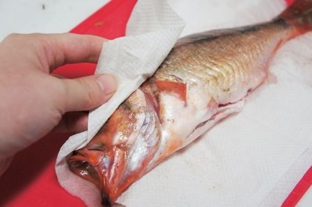 るぅのおいしいうちごはん