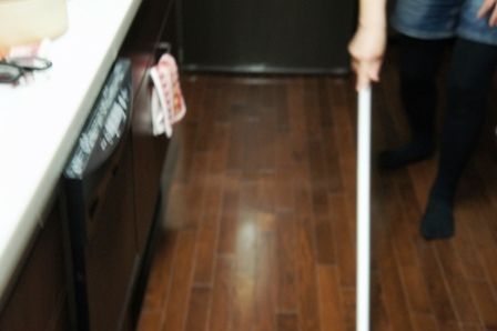 るぅのおいしいうちごはん