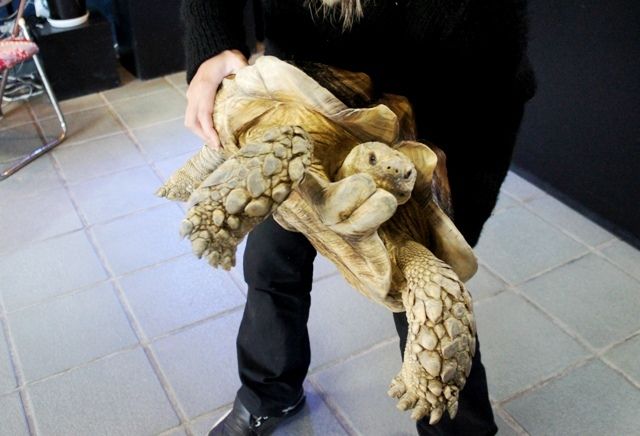 るぅのおいしいうちごはん