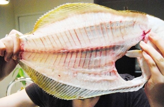 るぅのおいしいうちごはん