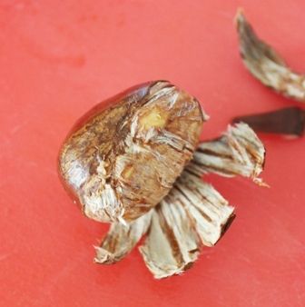 るぅのおいしいうちごはん