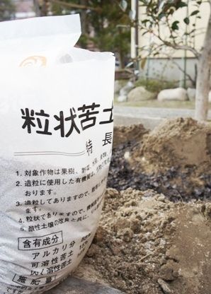 るぅのおいしいうちごはん