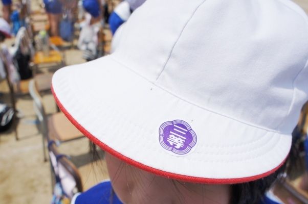 るぅのおいしいうちごはん