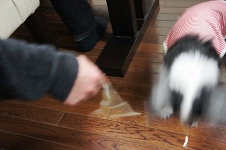 るぅのおいしいうちごはん