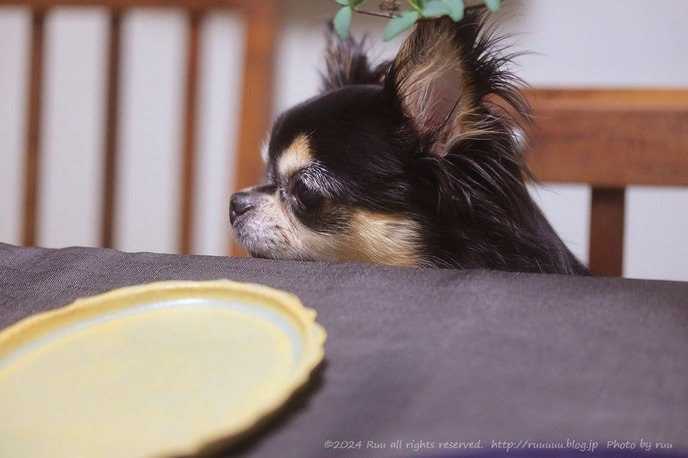 0B8A7124 のコピー