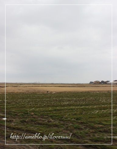 るぅのおいしいうちごはん