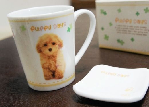 るぅのおいしいうちごはん