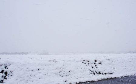 るぅのおいしいうちごはん