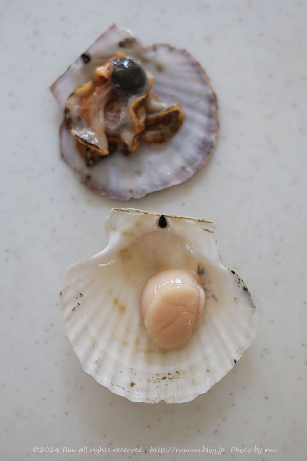 0B8A1047 のコピー