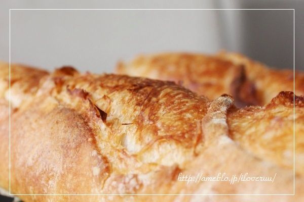 るぅのおいしいうちごはん