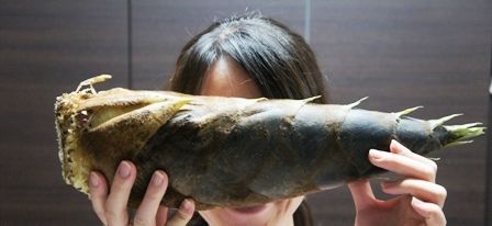 るぅのおいしいうちごはん