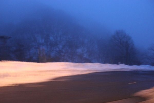 るぅのおいしいうちごはん