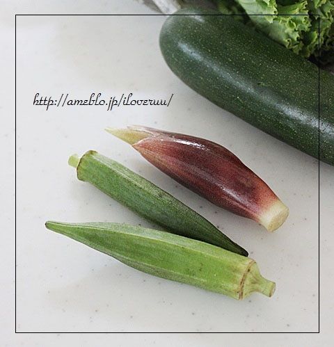 るぅのおいしいうちごはん