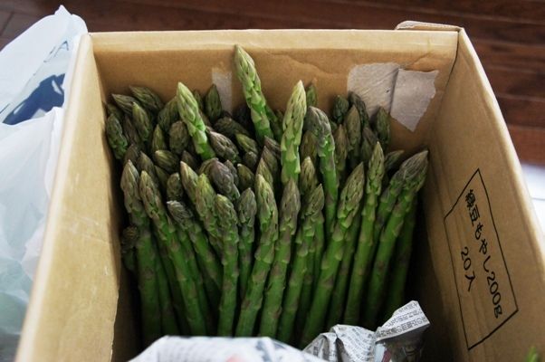 るぅのおいしいうちごはん