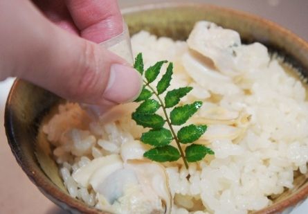 るぅのおいしいうちごはん