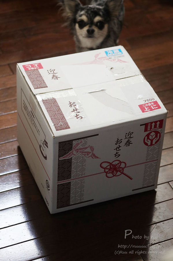 0B8A6669 のコピー