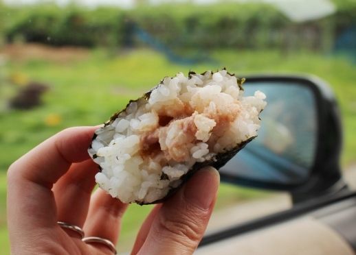 るぅのおいしいうちごはん