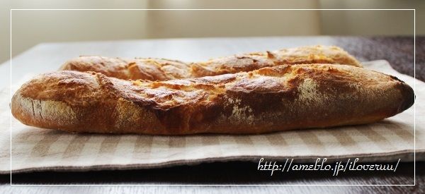 るぅのおいしいうちごはん