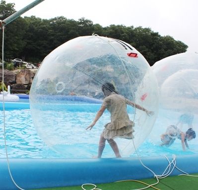 るぅのおいしいうちごはん