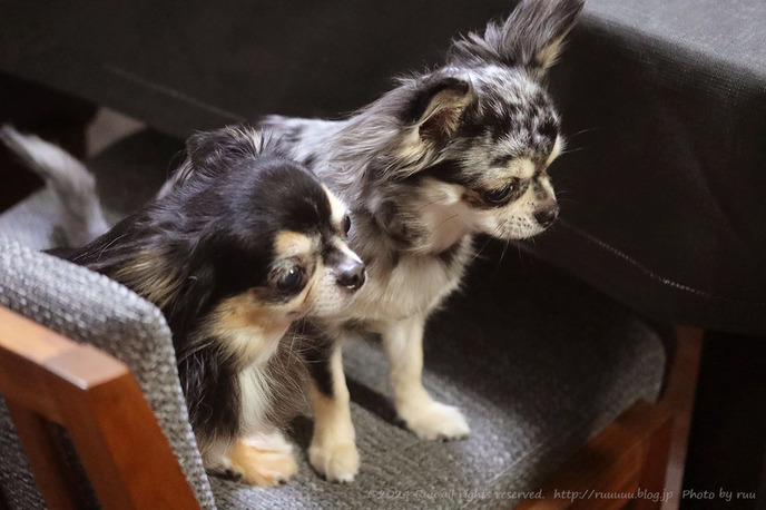 0B8A6519 のコピー 2