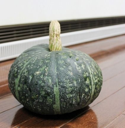 るぅのおいしいうちごはん