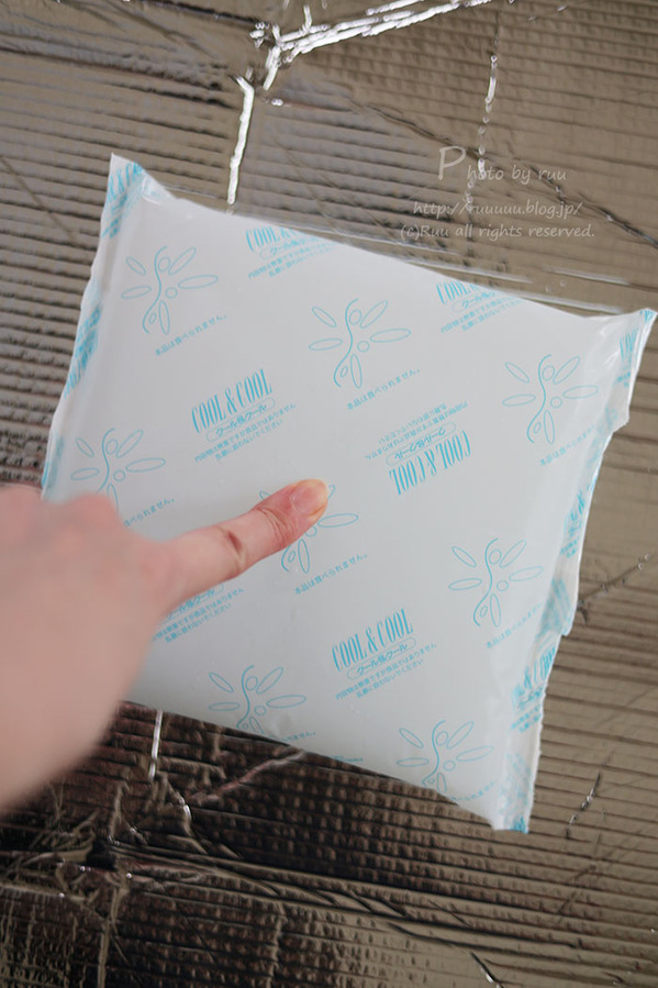 0B8A6692 のコピー