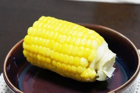 るぅのおいしいうちごはん