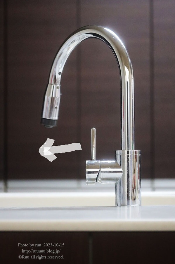 0B8A5835 のコピー1