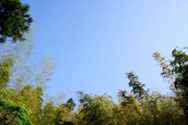 るぅのおいしいうちごはん