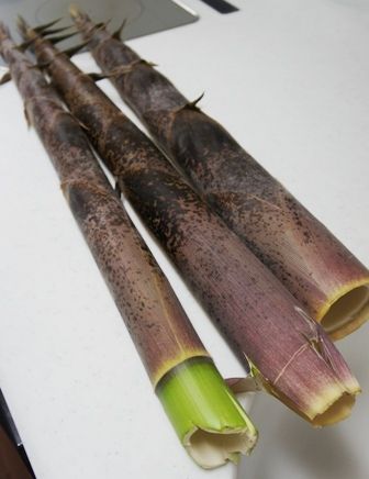 るぅのおいしいうちごはん