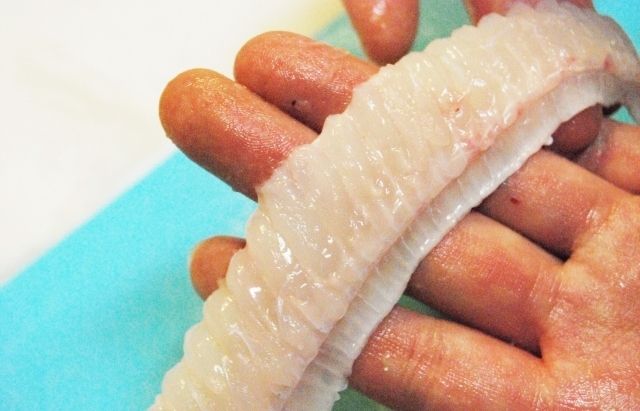 るぅのおいしいうちごはん