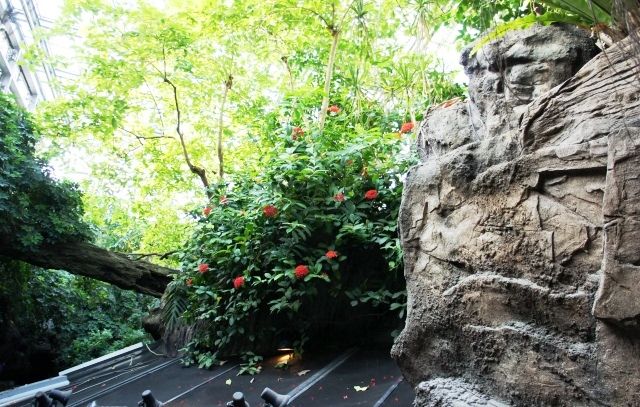 るぅのおいしいうちごはん