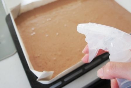 るぅのおいしいうちごはん