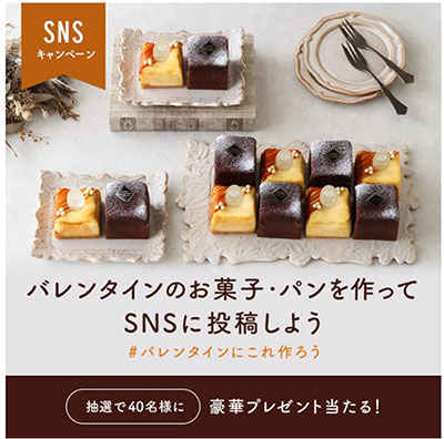 スクリーンショット 2025-01-11 151154 のコピー