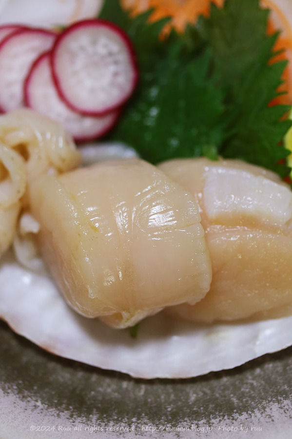 0B8A1086 のコピー