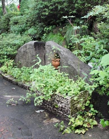 るぅのおいしいうちごはん