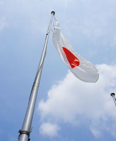 るぅのおいしいうちごはん